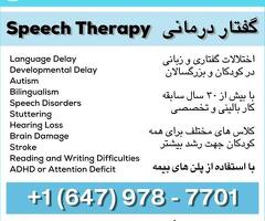گفتاردرمانی و دوزبانگی Persian Speech Clinic